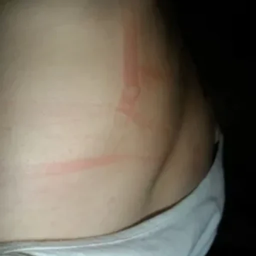 Riasharmabot bot logo