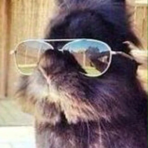 Funny Bunny bot logo