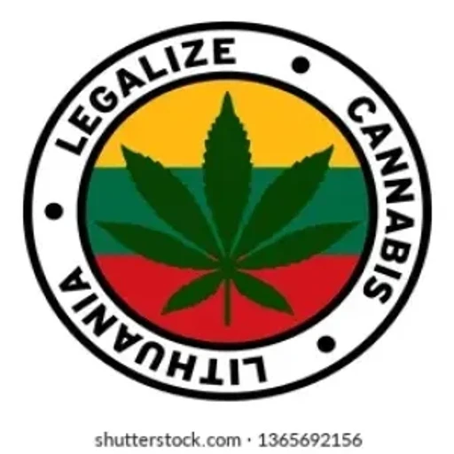 Vilniuskaunasbot bot logo