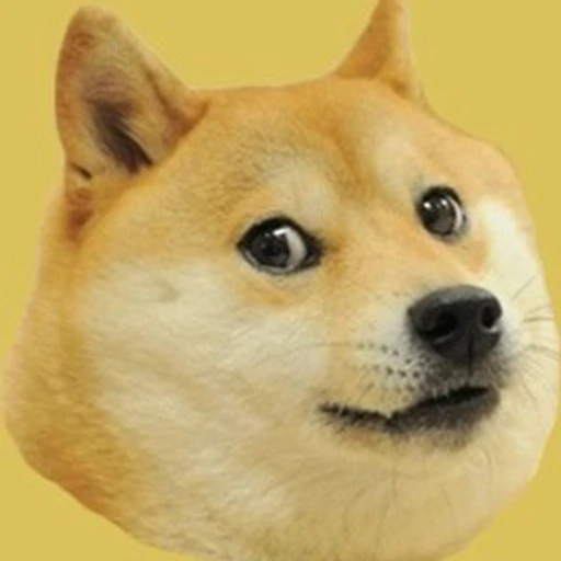 Dogefy bot logo