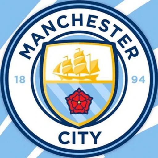 Manchester City F.C bot logo