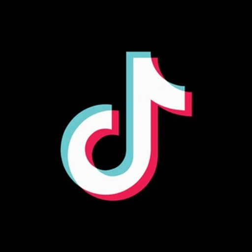 Tiktok Downloader Bot bot logo