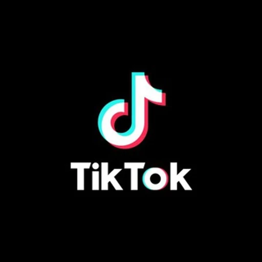 TikTok No Watermark bot logo