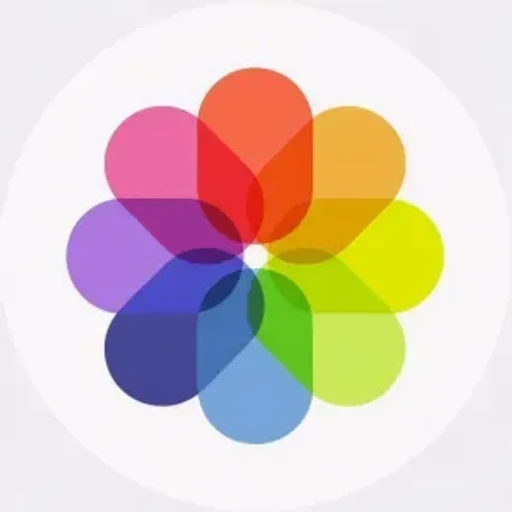 Imagecolorizerbot bot logo