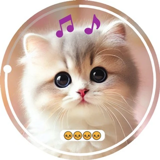 Редактор видео-кружков bot logo