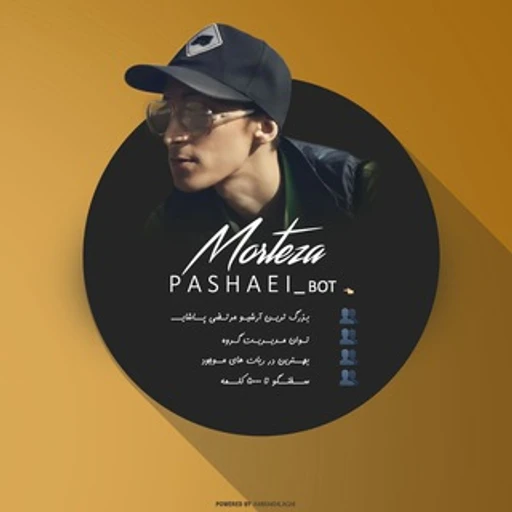 Morteza Pashaei bot logo